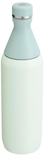 Stanley All Day - Botella delgada de 20 onzas, tapa giratoria a prueba de fugas, diseño delgado para viajes y gimnasio, botella de agua de acero inoxidable aislada, sin BPA, niebla