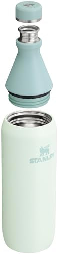 Stanley All Day - Botella delgada de 20 onzas, tapa giratoria a prueba de fugas, diseño delgado para viajes y gimnasio, botella de agua de acero inoxidable aislada, sin BPA, niebla