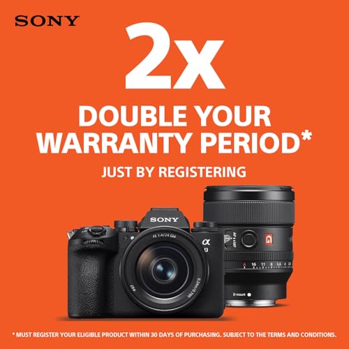 Sony Camara Alpha ILCE 6700 APS-C Premium con Montura E