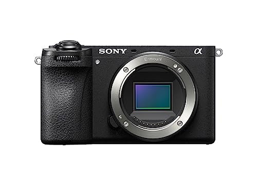 Sony Camara Alpha ILCE 6700 APS-C Premium con Montura E