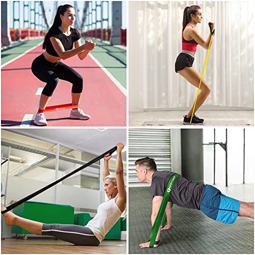Bandas de Resistencia 5PCS(Látex 100% Natural), Ligas de Resistencia para Ejercicio, Fuerte Bandas Elástica para Pull Up & Crossfit - Con Ancla de Puerta, 2 Manijas, Ganchos y Bolsa (Multicolor)