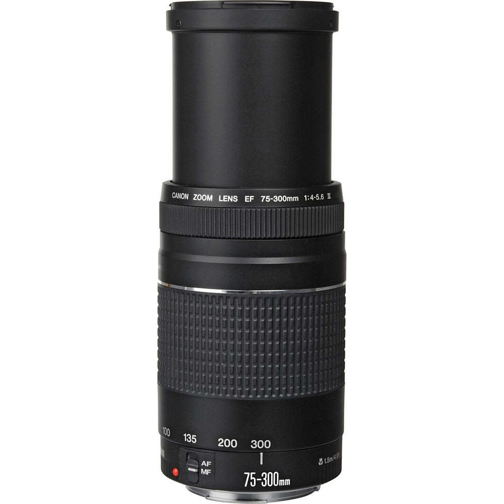 Canon Cámara DSLR EOS Rebel T7 con Lentes EF-S 18-55mm y EF 75-300mm