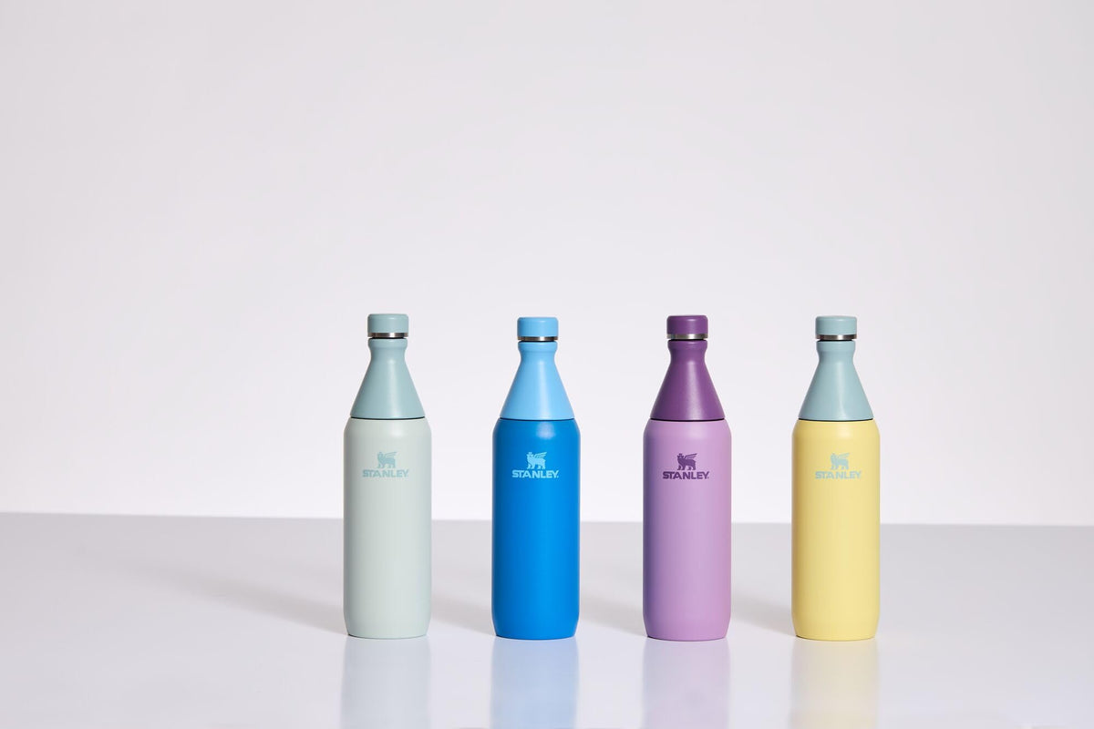 Stanley All Day - Botella delgada de 20 onzas, tapa giratoria a prueba de fugas, diseño delgado para viajes y gimnasio, botella de agua de acero inoxidable aislada, sin BPA, niebla