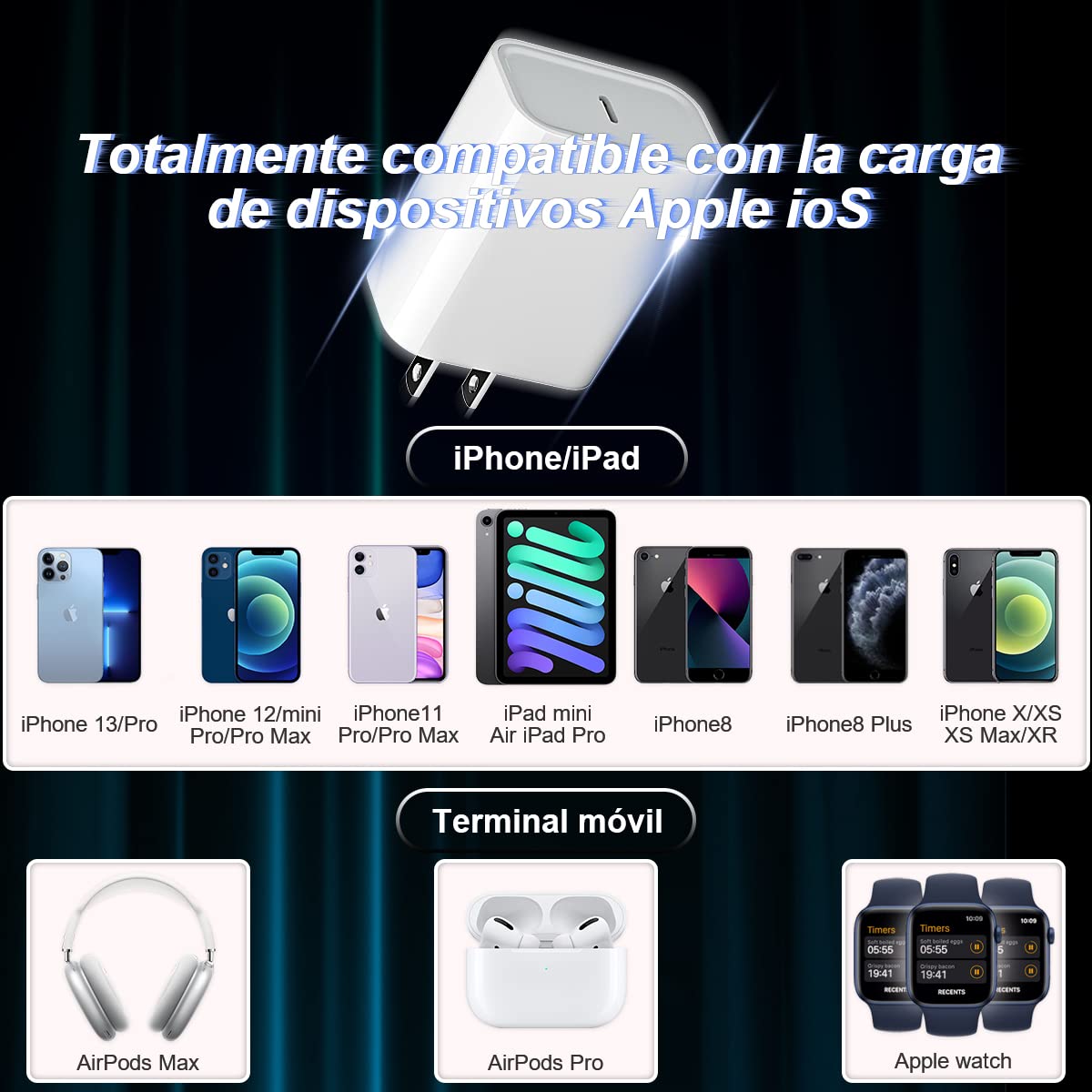 RENDIN 25W Cargador Carga Rapida con Cable 1.5M,Compatible con iPhone 14/13/12/11/Pro MAX/iPhone X/XS/XR/8, Cargador iPad