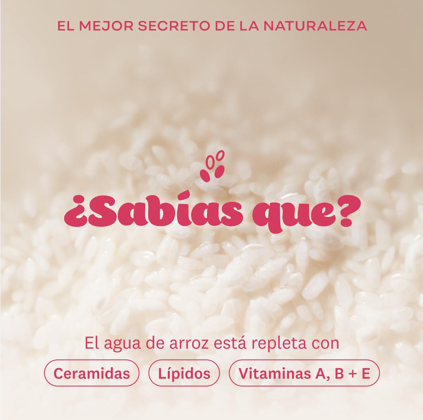 The Face Shop Rice Water Bright - Crema Coreana para Contorno de Ojos Vegana de Agua de Arroz | Anti-Ojeras Oscuras y Líneas Finas | K-Beauty Iluminadora y Despigmentante | Hidratación Profunda y Rápida Absorción