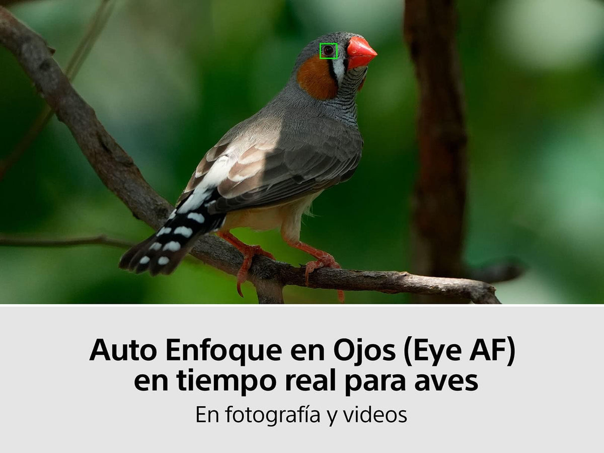 Sony Alpha Cámara Híbrida Full Frame Mirrorless 4K 60P ILCE-7M4 (Versión Oficial con Garantía Local)