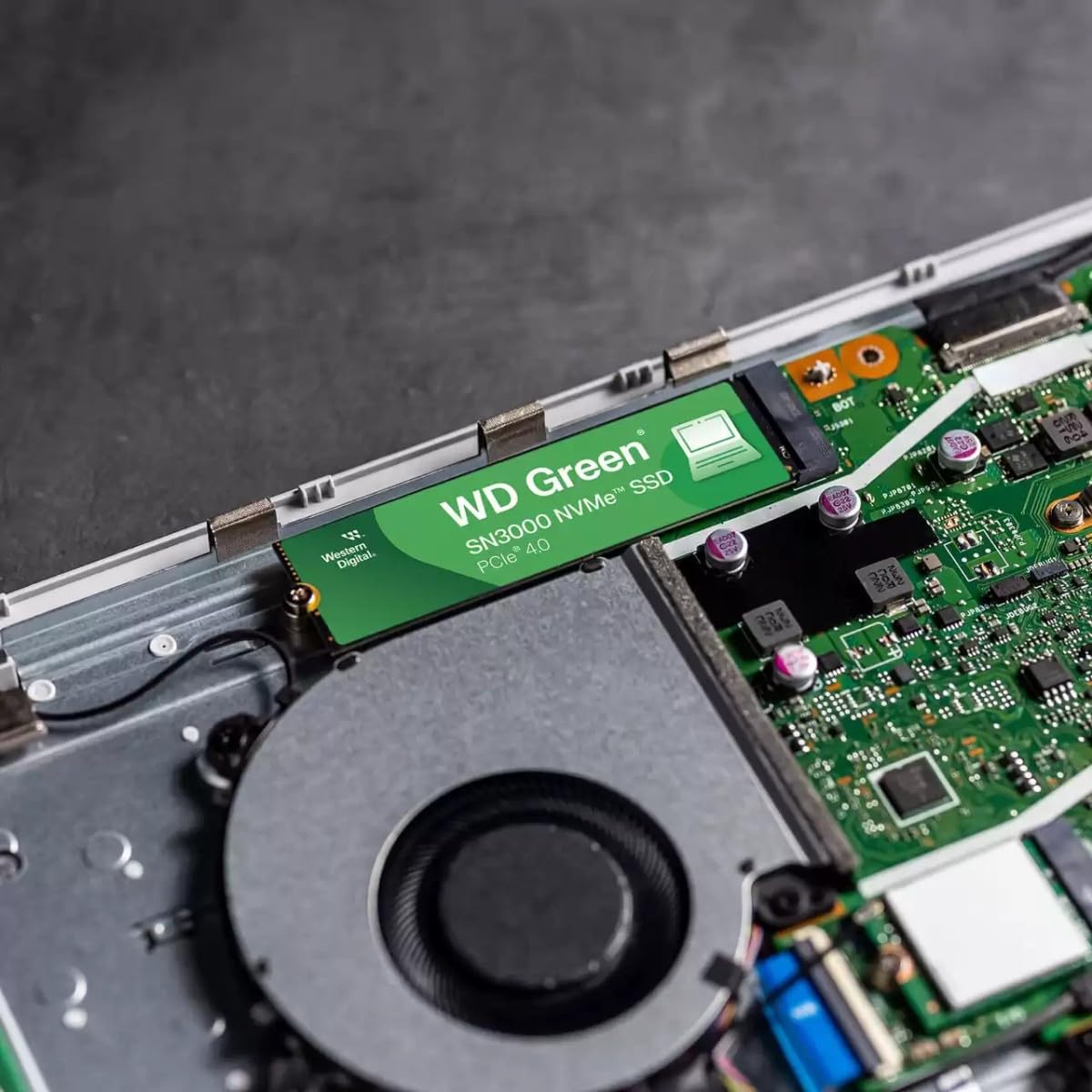 Western Digital 1TB WD Green SN3000 NVMe SSD Interno - Unidad de Estado sólido - Gen4 PCIe, M.2 2280, hasta 5.000 MB/s - WDS100T4G0E