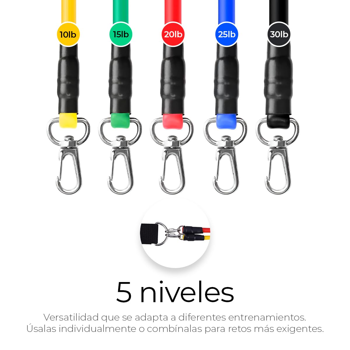 Raganet, Juego de Bandas de Resistencia de 11 Piezas, Incluye 5 Bandas Apilables para Ejercicios con Asas, Bolsa de Transporte, Correas para Tobillo y Accesorio de Anclaje para Puerta