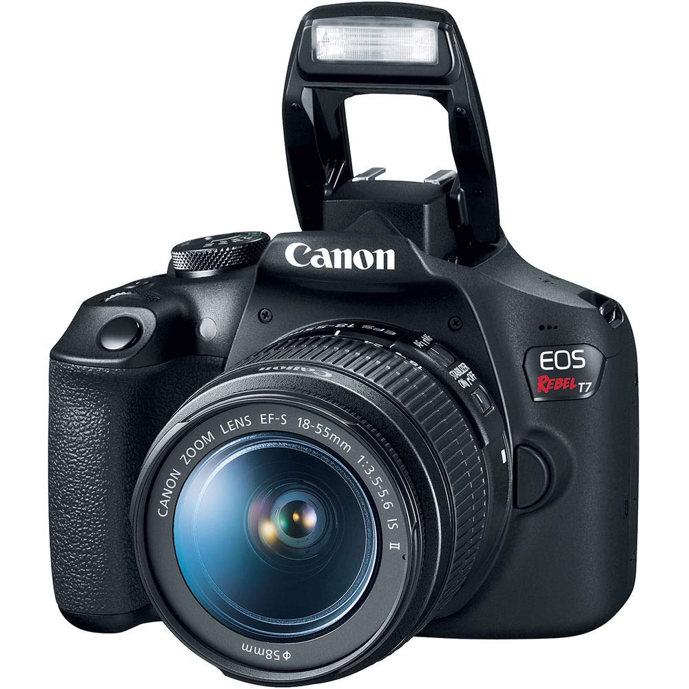 Canon Cámara DSLR EOS Rebel T7 con Lentes EF-S 18-55mm y EF 75-300mm
