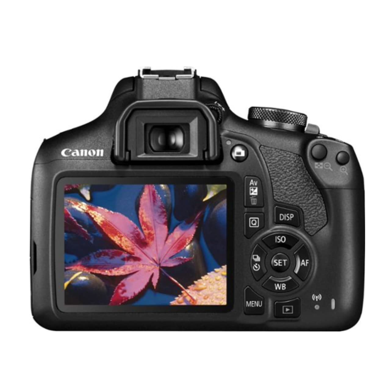 Canon EOS Rebel T7 Cámara DSLR | Kit de 2 Lentes con Lente EF18-55mm + EF 75-300mm, Negro