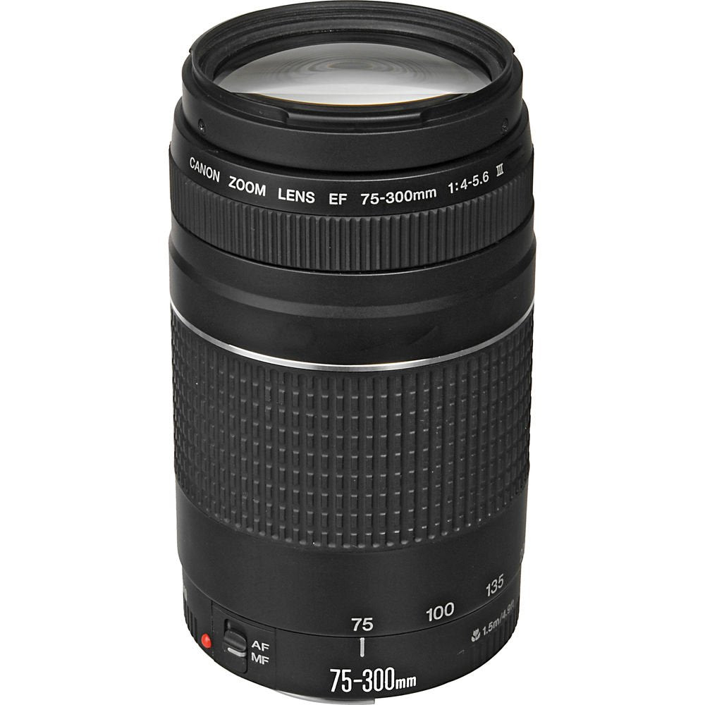 Canon Cámara DSLR EOS Rebel T7 con Lentes EF-S 18-55mm y EF 75-300mm