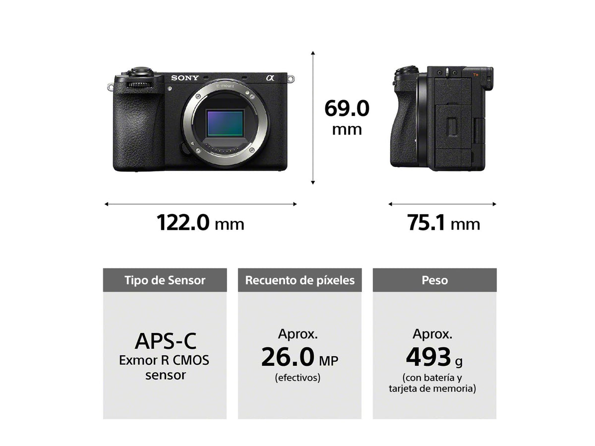 Sony Camara Alpha ILCE 6700 APS-C Premium con Montura E