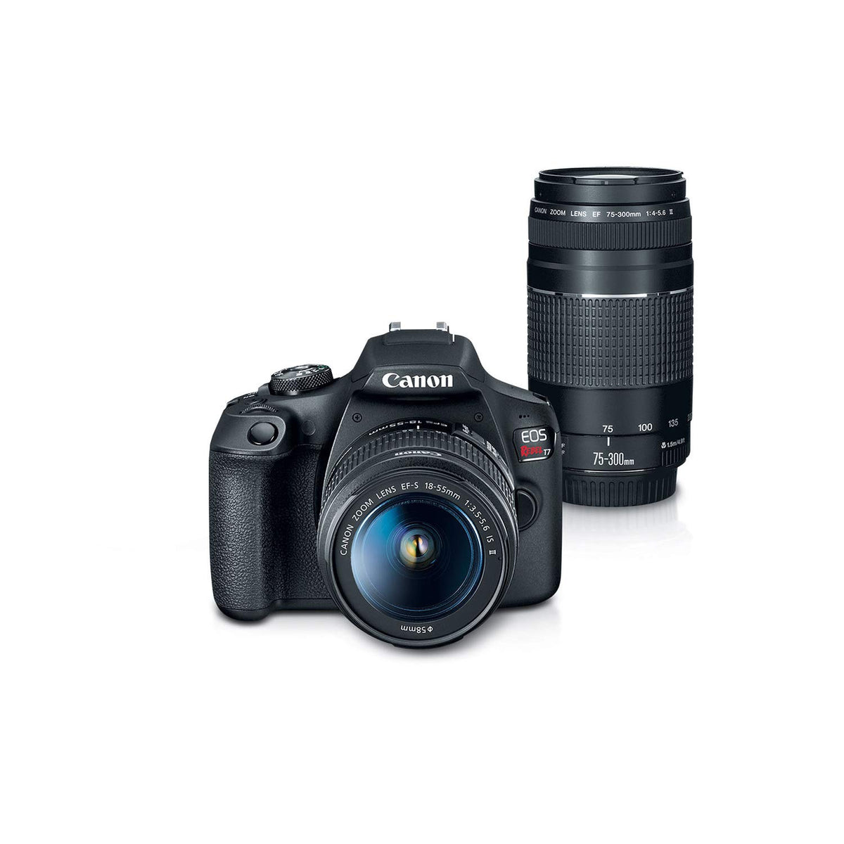 Canon Cámara DSLR EOS Rebel T7 con Lentes EF-S 18-55mm y EF 75-300mm
