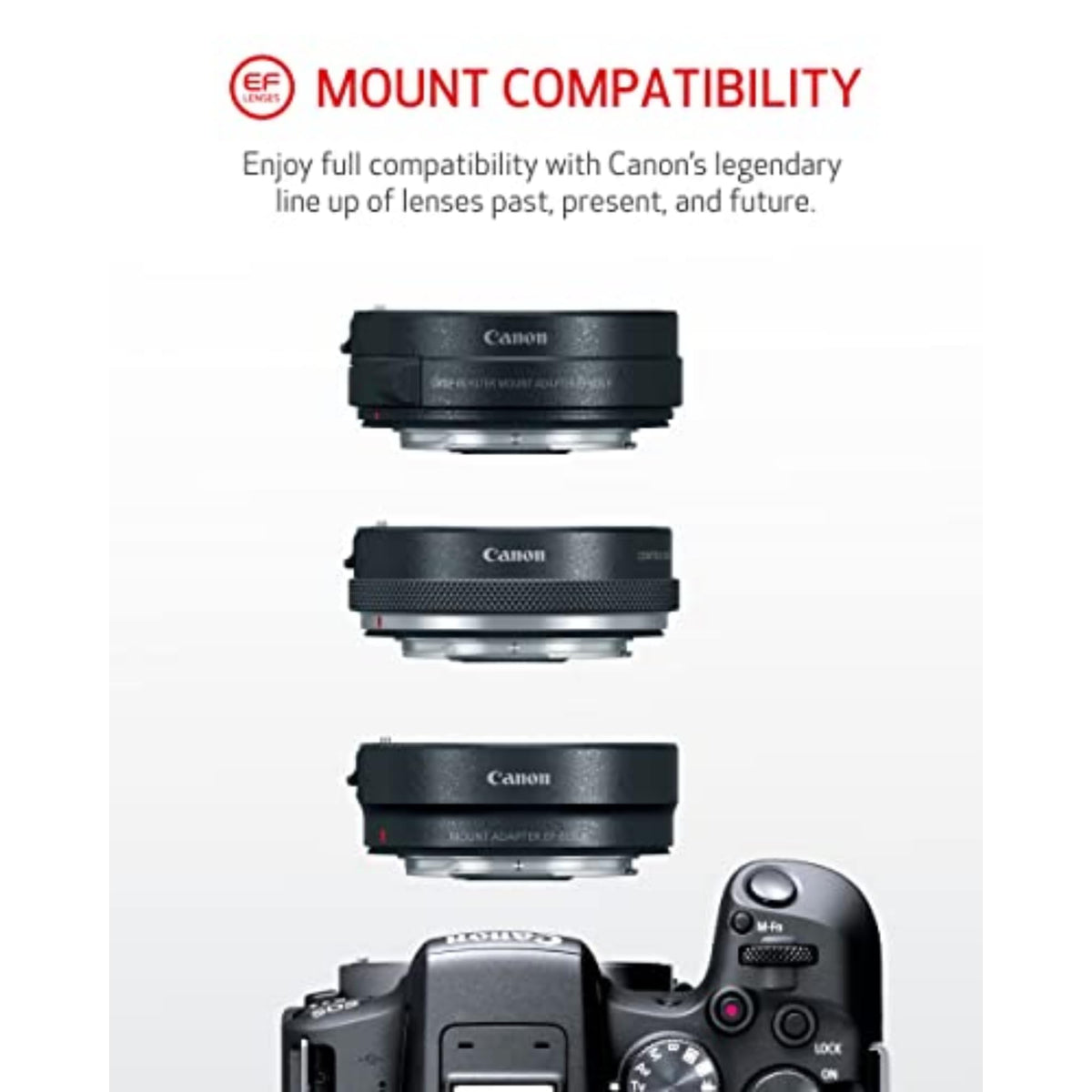 Canon EOS R10 RF-S18-45mm F4.5-6.3 IS STM