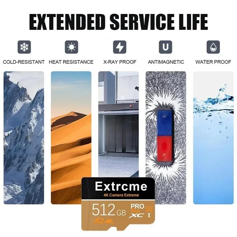 ACHEMEX