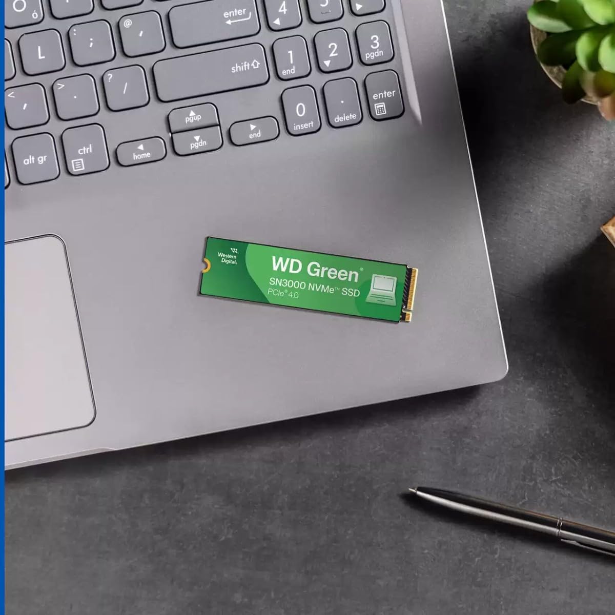 Western Digital 1TB WD Green SN3000 NVMe SSD Interno - Unidad de Estado sólido - Gen4 PCIe, M.2 2280, hasta 5.000 MB/s - WDS100T4G0E