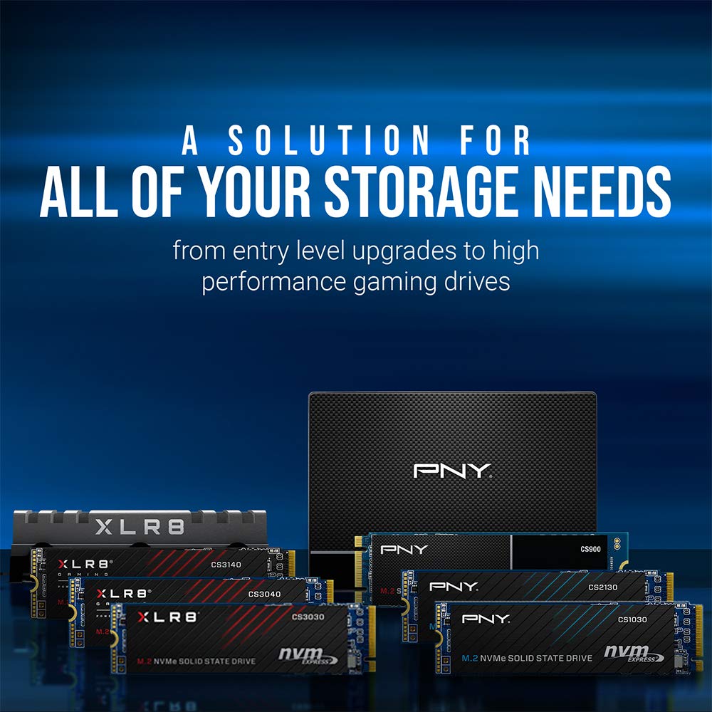 PNY CS900 - Disco duro interno SATA III (SSD) (2,5", SSD7CS900-120-RB), 1 TB