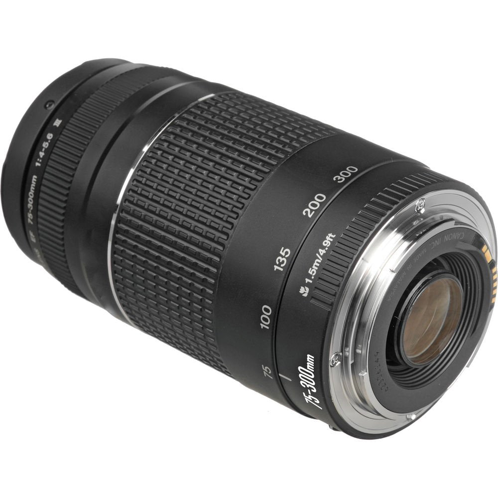 Canon Cámara DSLR EOS Rebel T7 con Lentes EF-S 18-55mm y EF 75-300mm