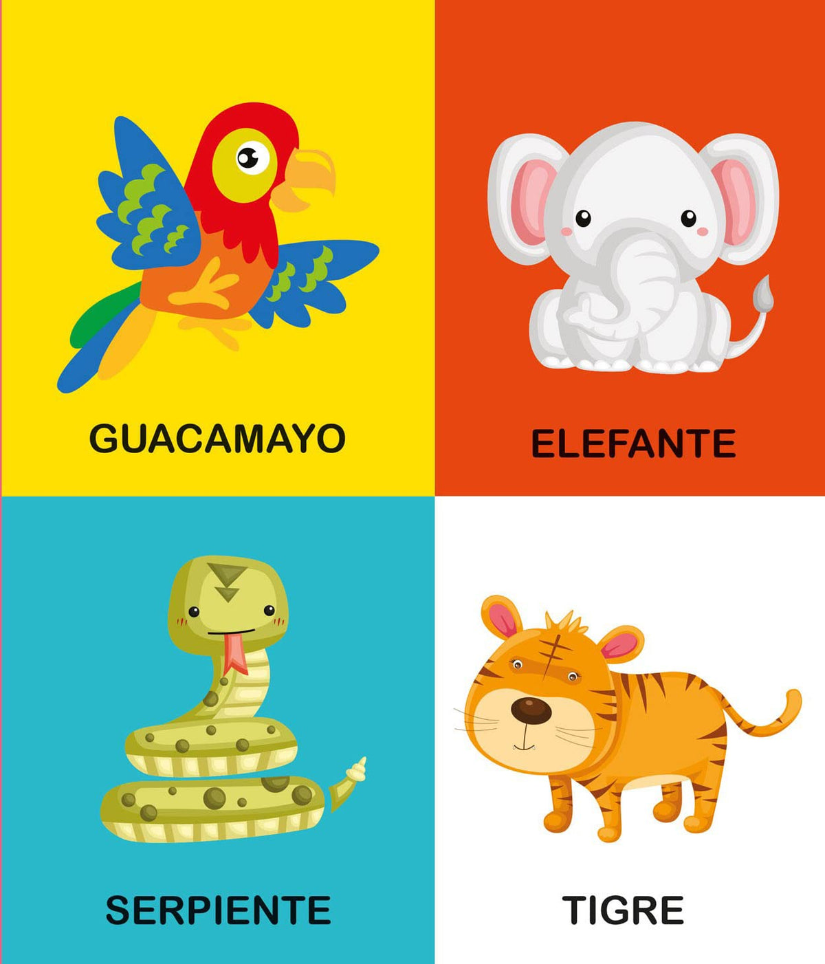Libro Infantil Selva - Mis Primeras Palabras - Aprendizaje