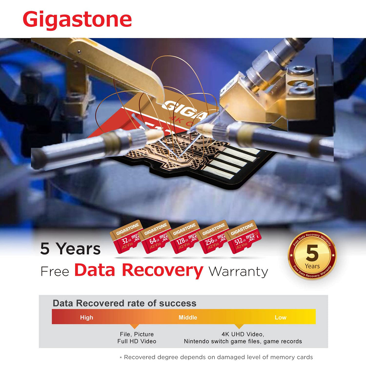 [5 Años Gratuitos de Recuperación de Datos] Gigastone 256GB Tarjeta Micro SD, Grabación de 4K video para GoPro, Cámara de Acción, DJI, Drone, Nintendo-Switch, 100/60MB/s Lec/Esc, UHS-I U3 A2 V30 C10