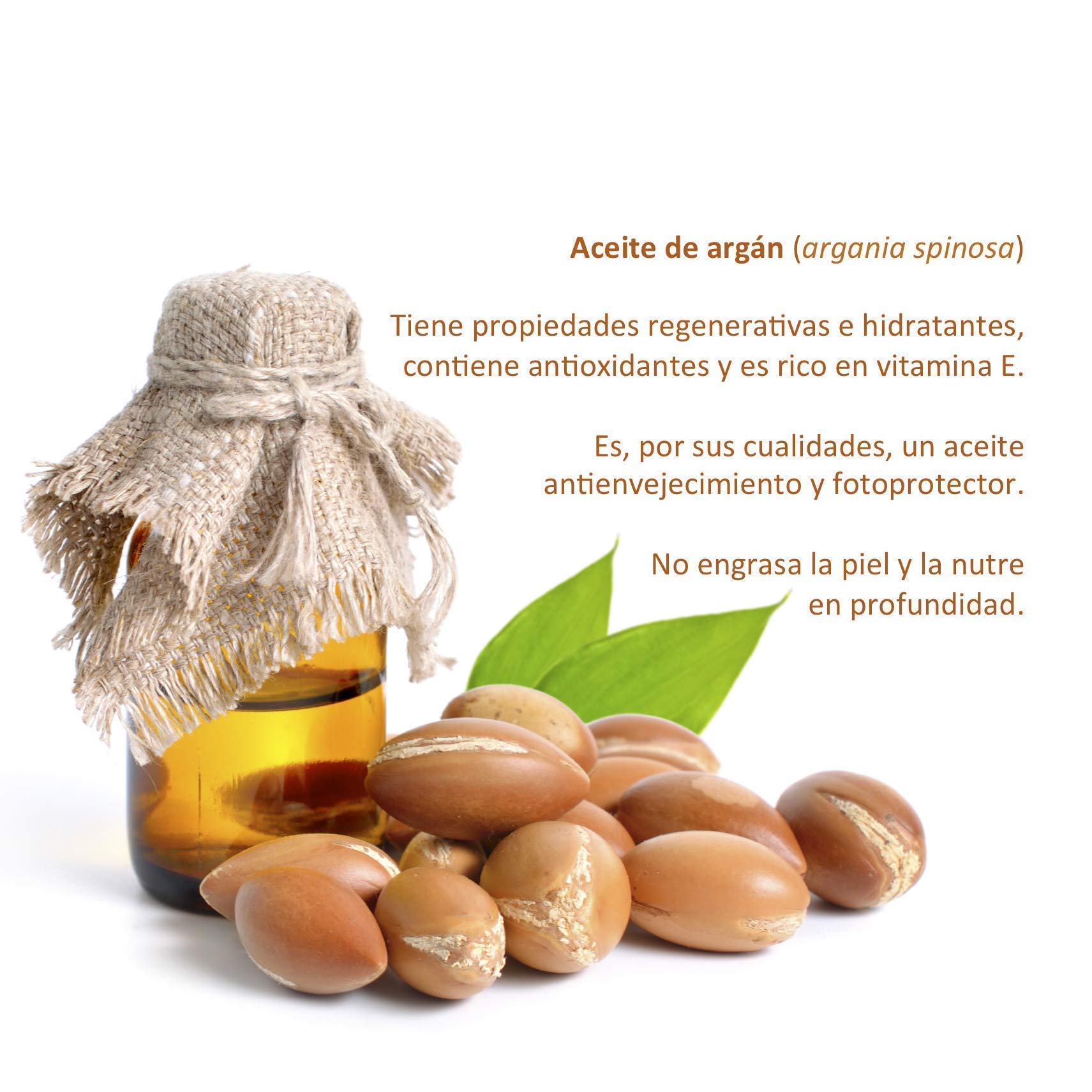 Crema Facial de Arroz, Descanso Perfecto, para uso Nocturno. Antioxidante, Hidratante, Nutritiva. Protege, hidrata y mejora el aspecto del cutis. Suaviza arrugas y manchas.