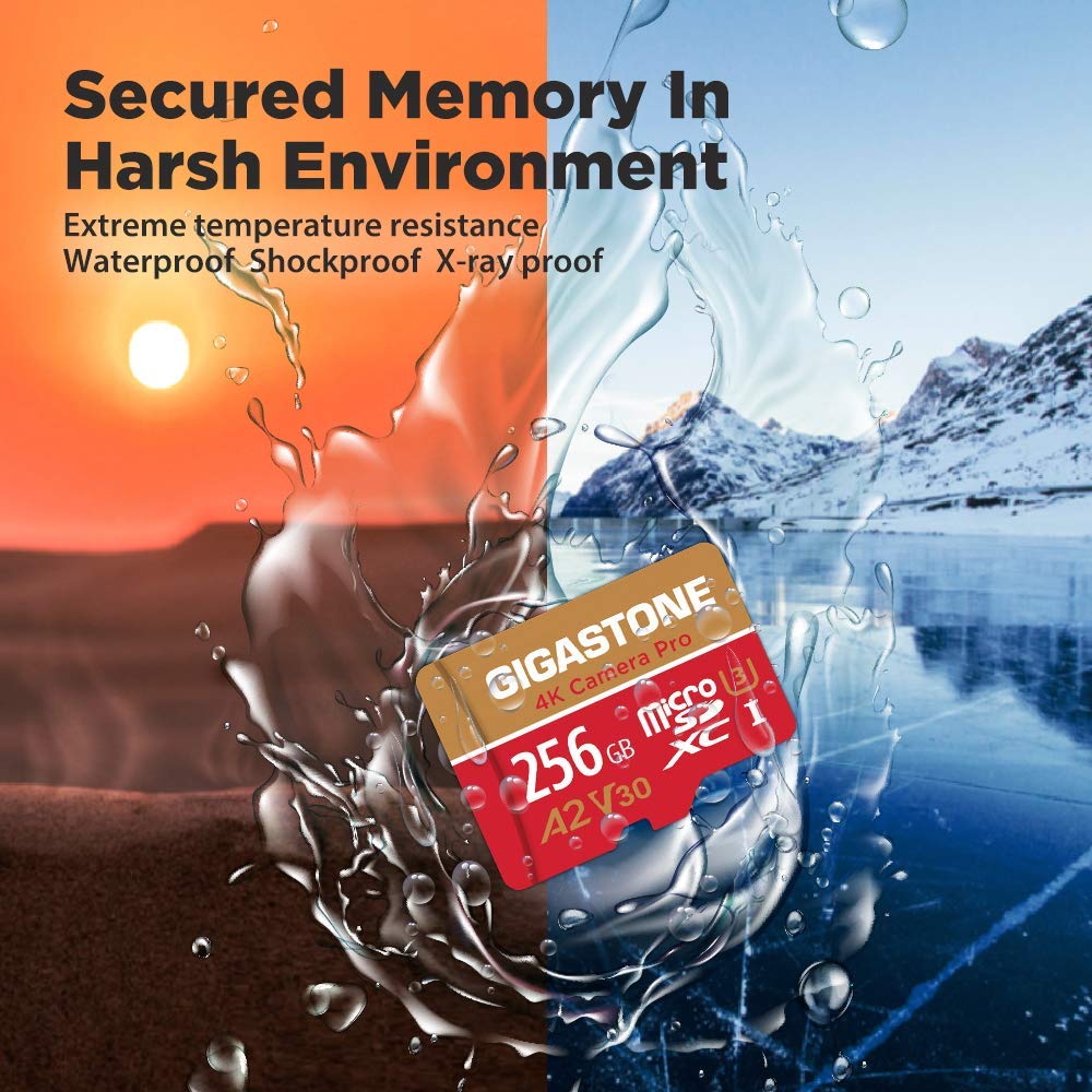 [5 Años Gratuitos de Recuperación de Datos] Gigastone 256GB Tarjeta Micro SD, Grabación de 4K video para GoPro, Cámara de Acción, DJI, Drone, Nintendo-Switch, 100/60MB/s Lec/Esc, UHS-I U3 A2 V30 C10
