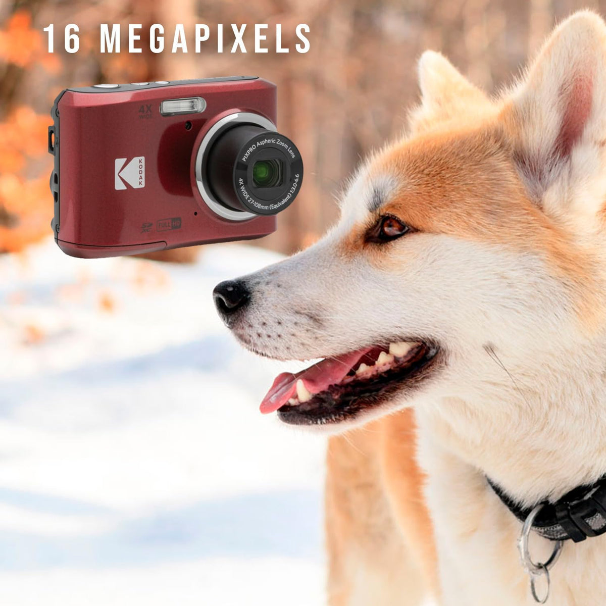 Kodak PIXPRO FZ45 Cámara digital (rojo) Paquete con tarjeta de memoria UHS-I U1 SDHC de 32 GB Clase 10 y pilas alcalinas AA de alto rendimiento (paquete de 4) (3 unidades)