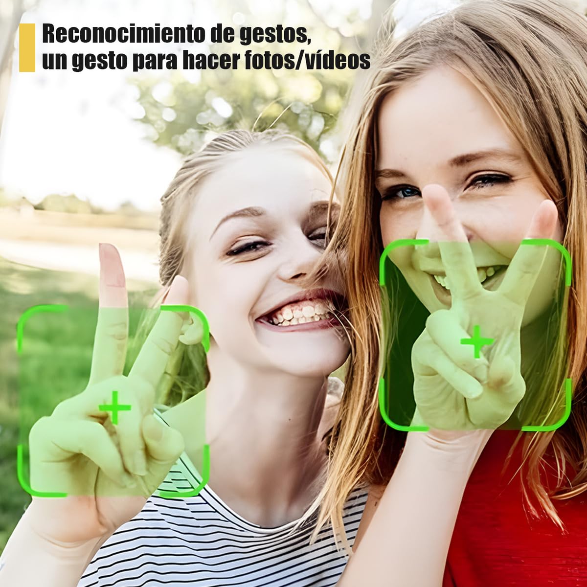 ACHEMEX