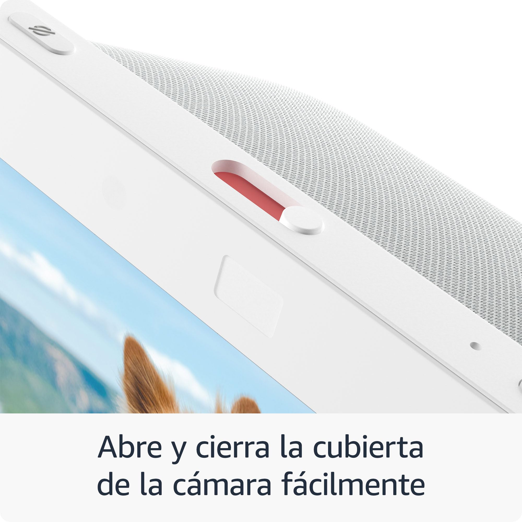 Amazon Echo Show 8 (3.ª generación), Con audio espacial, hub de Casa Inteligente y Alexa, Negro, con el Acceso Anticipado de Alexa+