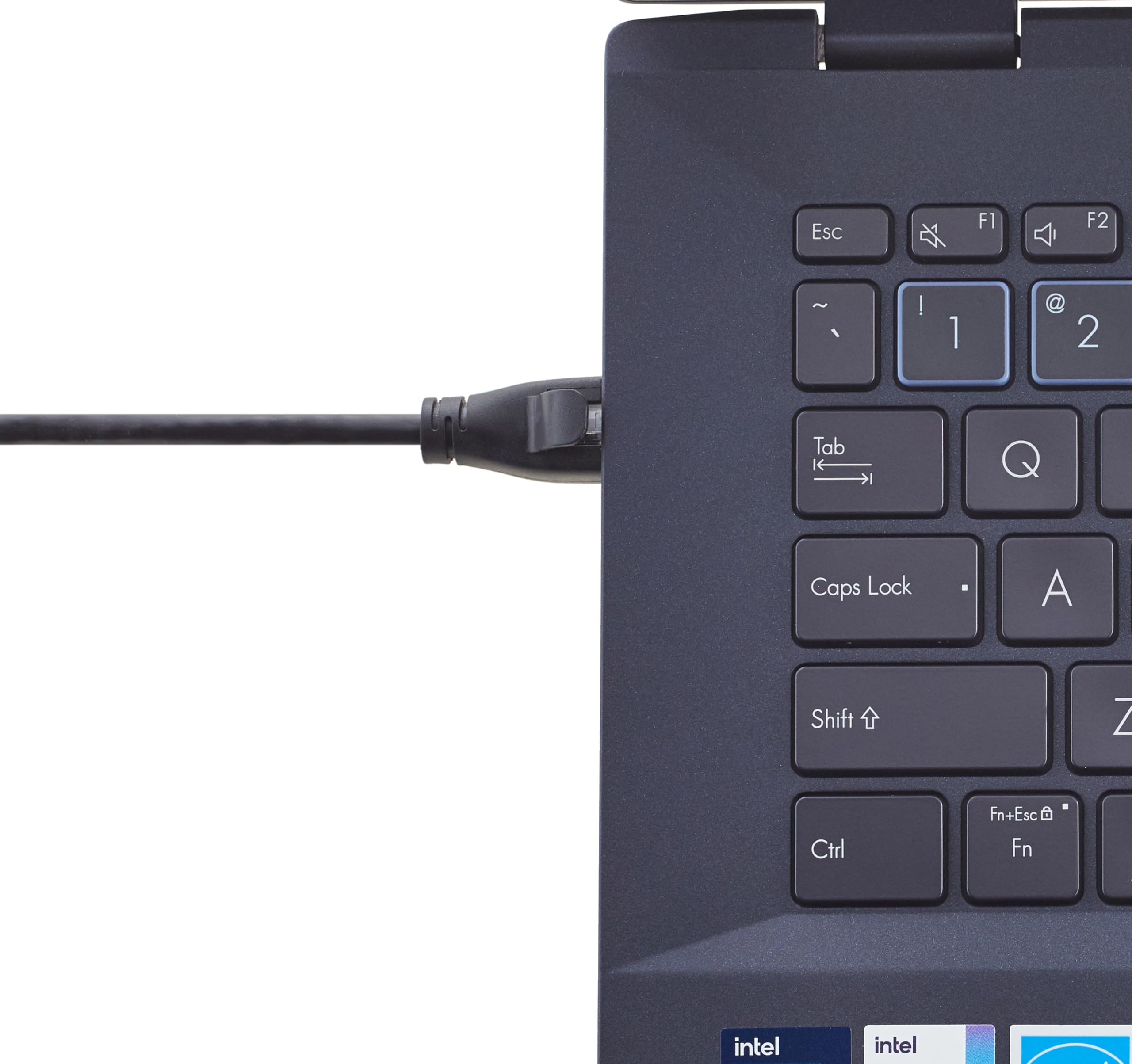 Amazon Basics - Cable de conexión Ethernet RJ45 Cat-6, 3 pies