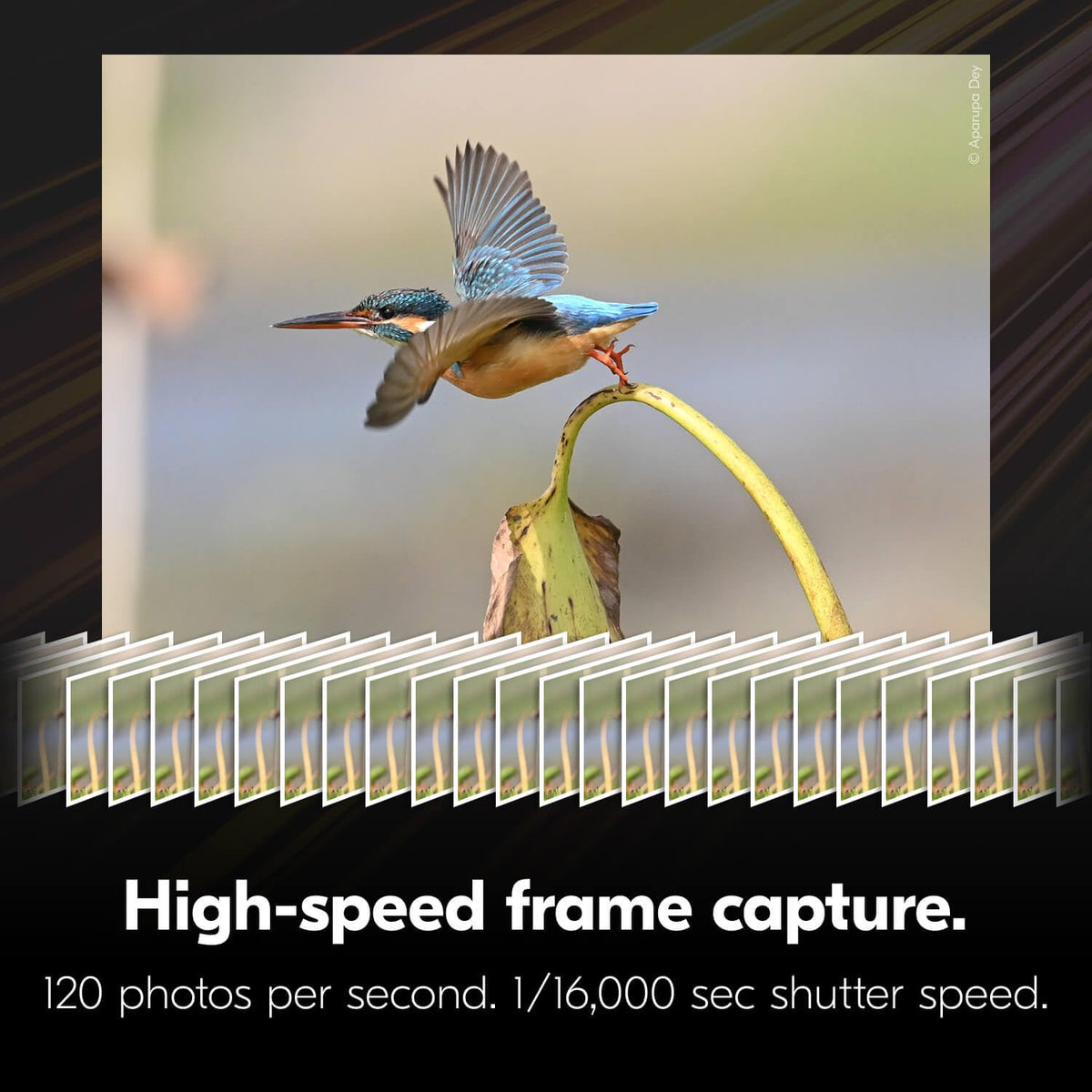 Nikon Z6III FX-Format Cuerpo de cámara sin Espejo