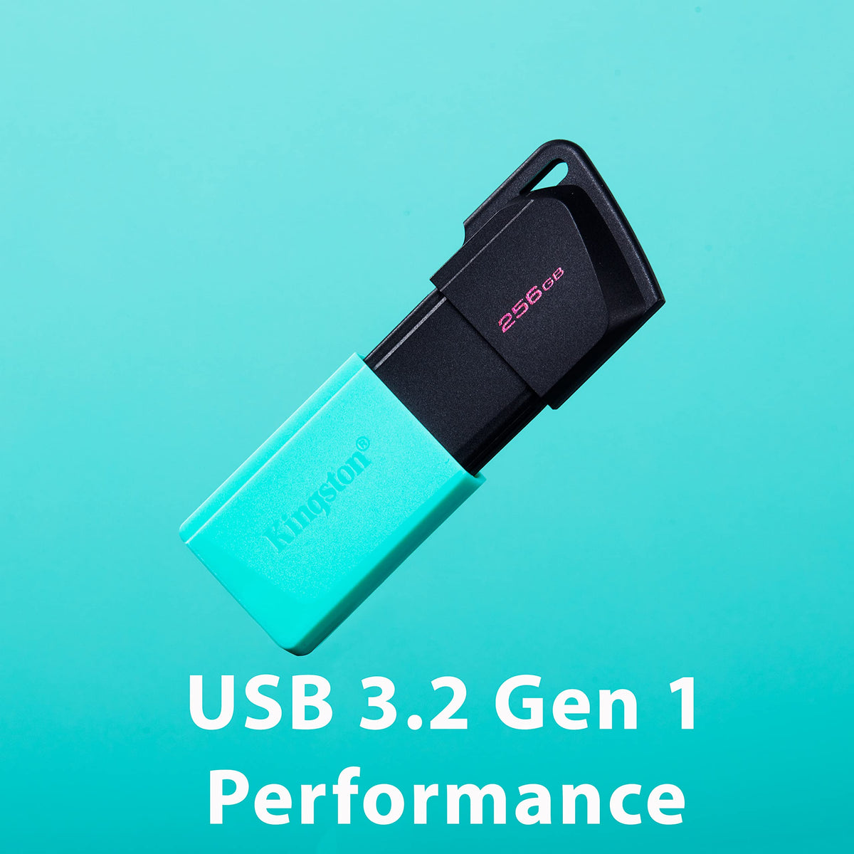 Kingston USB Data Traveler Exodia M, Capacidad: 256GB, USB 3.2 Gen 1 (DTXM/256GB)