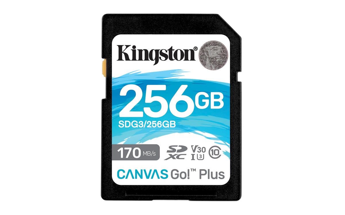 Kingston - Tarjeta de memoria SDXC Canvas Go Plus (256 GB, 170 MB/s)