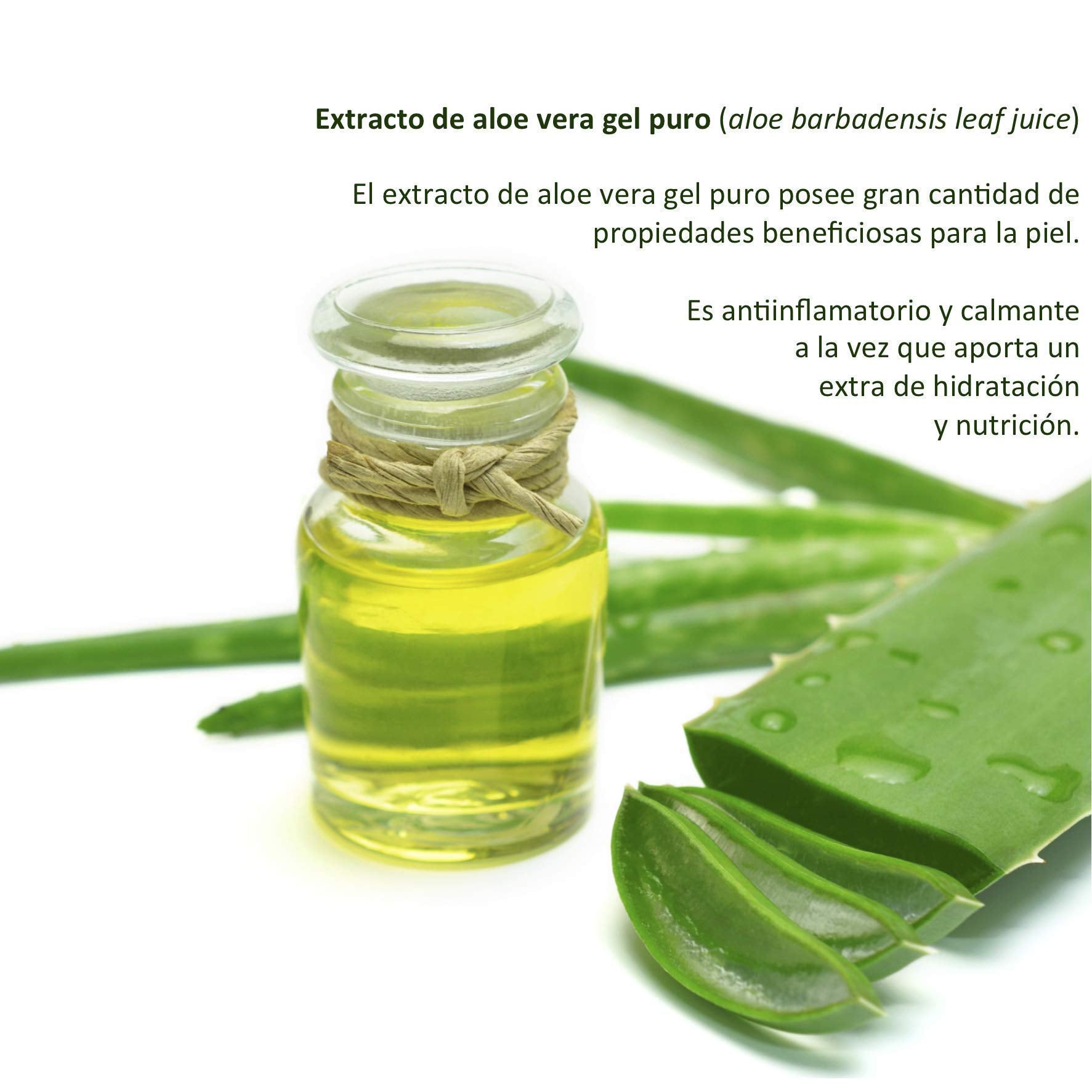 Crema Facial de Arroz, Descanso Perfecto, para uso Nocturno. Antioxidante, Hidratante, Nutritiva. Protege, hidrata y mejora el aspecto del cutis. Suaviza arrugas y manchas.