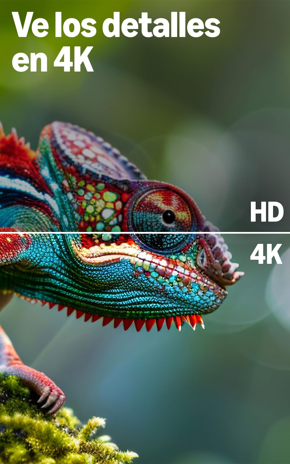 Amazon Ember 4-Series de 55" (modelo más reciente): televisión 4K Ultra HD inteligente con Control remoto Alexa, HDR10+, procesador rápido, Dolby Audio, fondo ambiental y TV en vivo gratuita