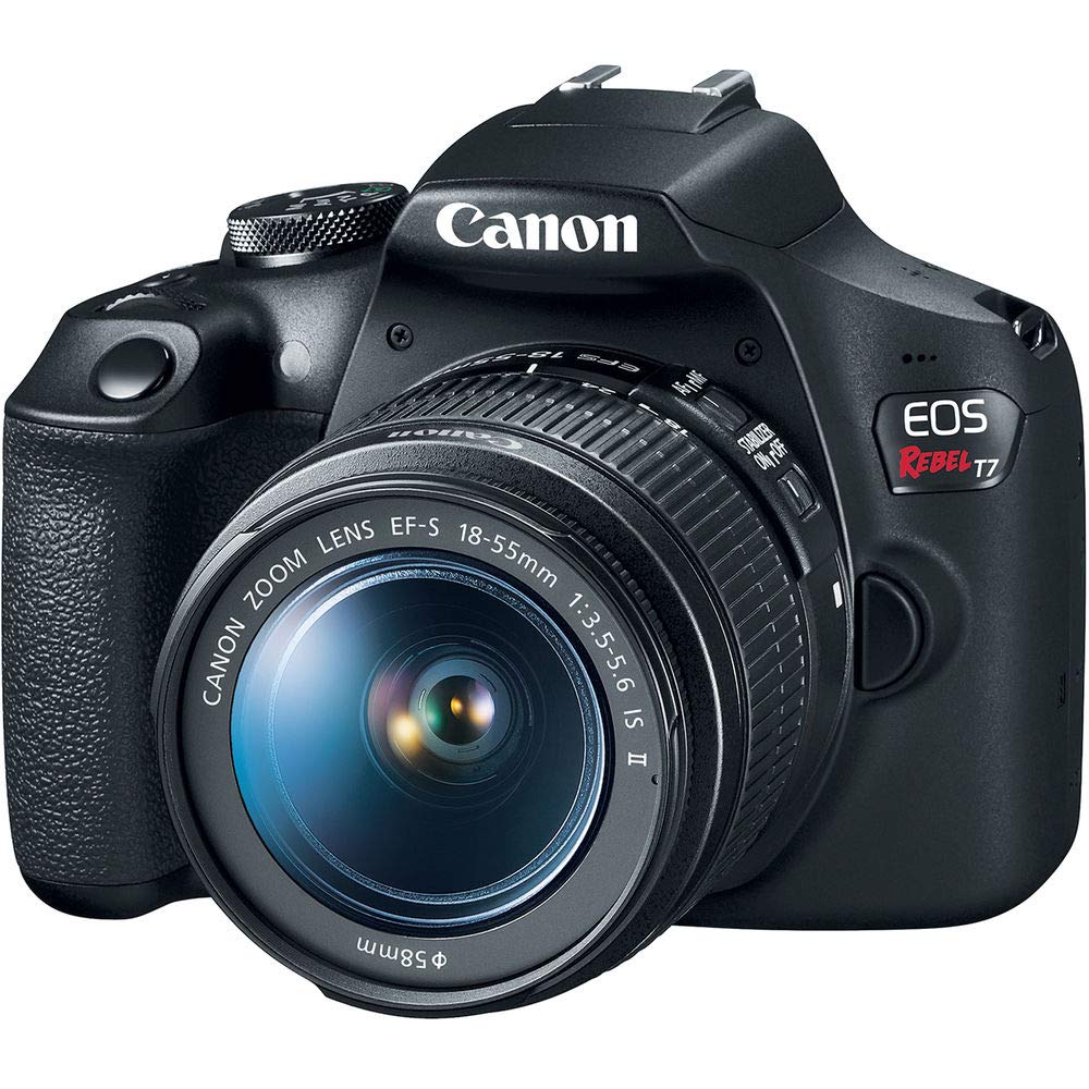 Canon Cámara DSLR EOS Rebel T7 con Lentes EF-S 18-55mm y EF 75-300mm