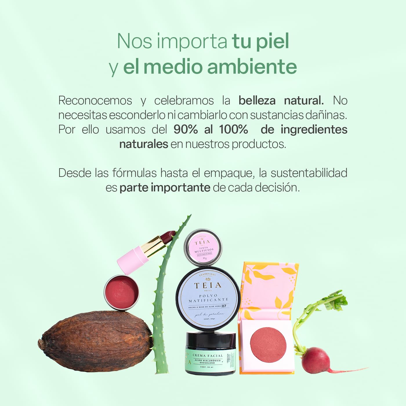 TEIA COSMETICOS Protector facial en polvo FPS30 matificante con color 100% mineral (Medio)