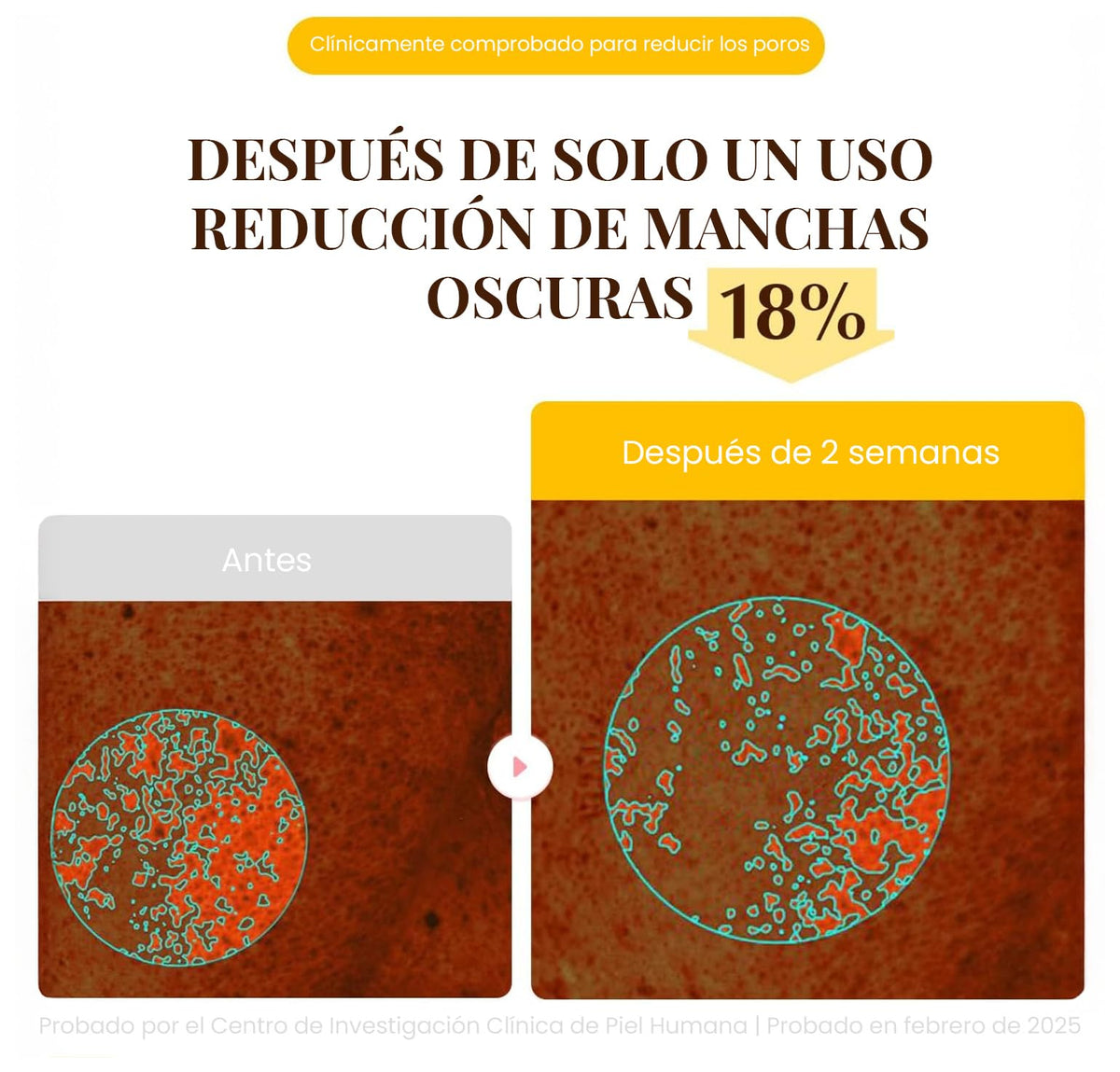 EQQUALBERRY Mascarilla Facial Coreana Hidratante con Colágeno y Niacinamida - Collagen Mask Iluminadora - Mascarillas Faciales Coreanas para Brillo Facial