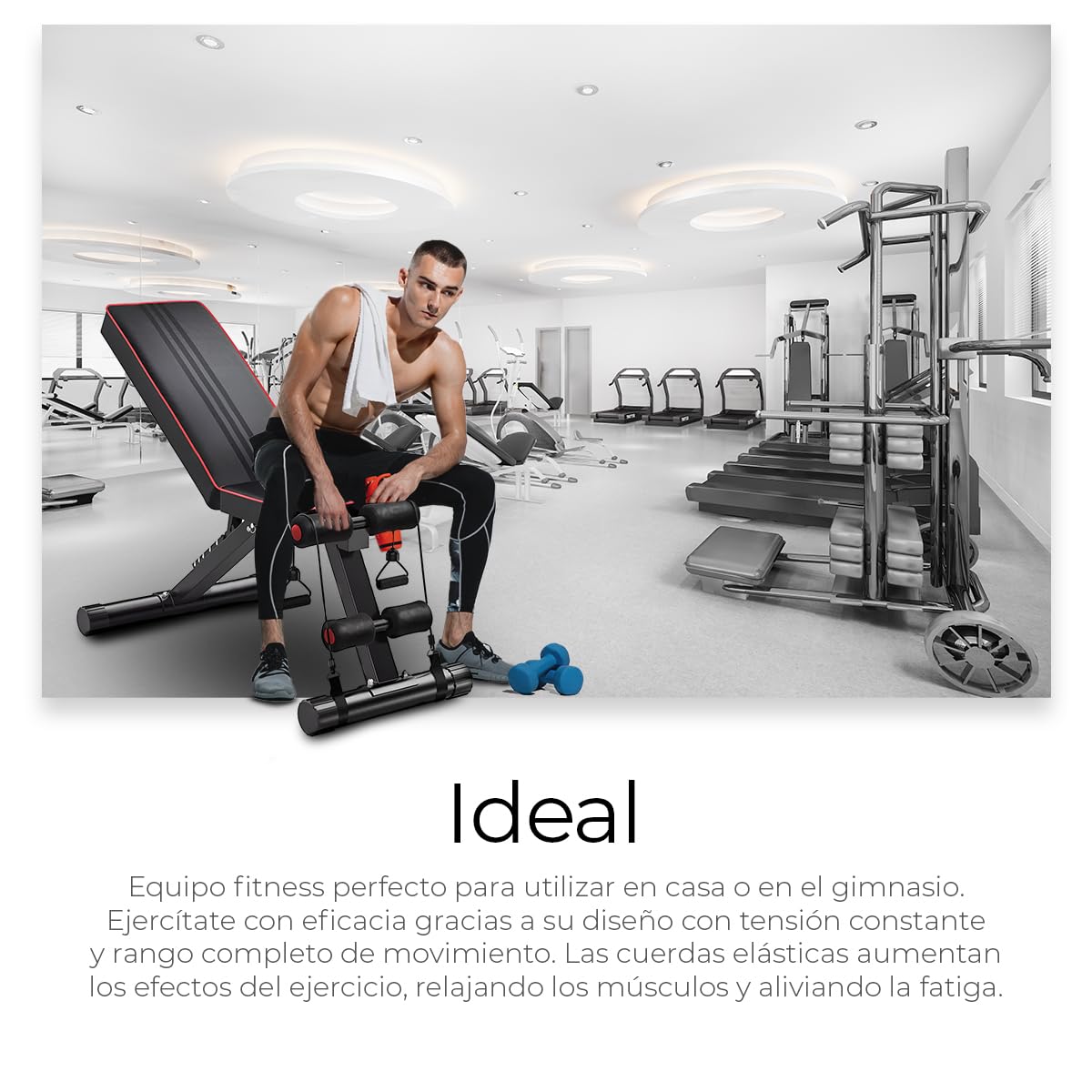 Raganet, Banco Fitness Multiposicion, Banco de Abdominales con 2 Ligas Incluidas, Asiento de Pesas Ajustable en 7 Posiciones, Soporta Hasta 250Kg, Negro