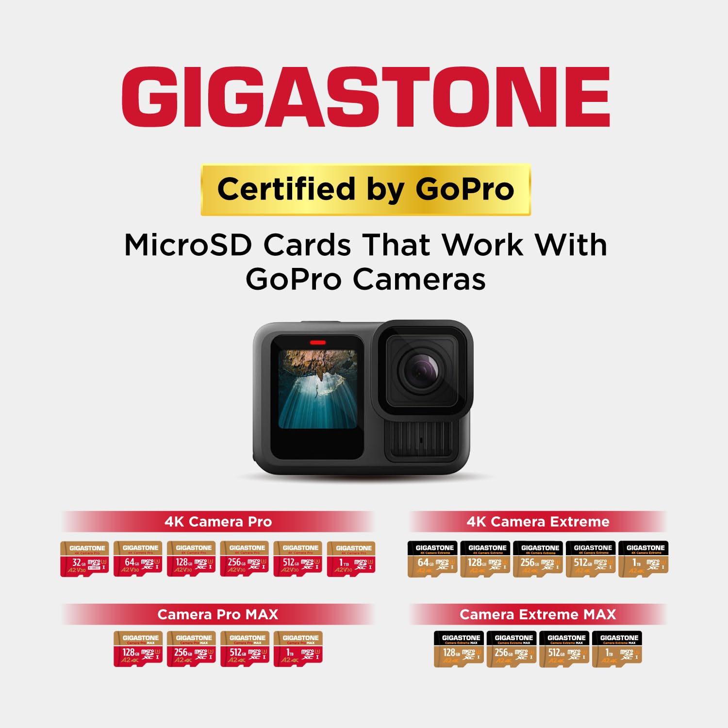 [5 Años Gratuitos de Recuperación de Datos] Gigastone 256GB Tarjeta Micro SD, Grabación de 4K video para GoPro, Cámara de Acción, DJI, Drone, Nintendo-Switch, 100/60MB/s Lec/Esc, UHS-I U3 A2 V30 C10