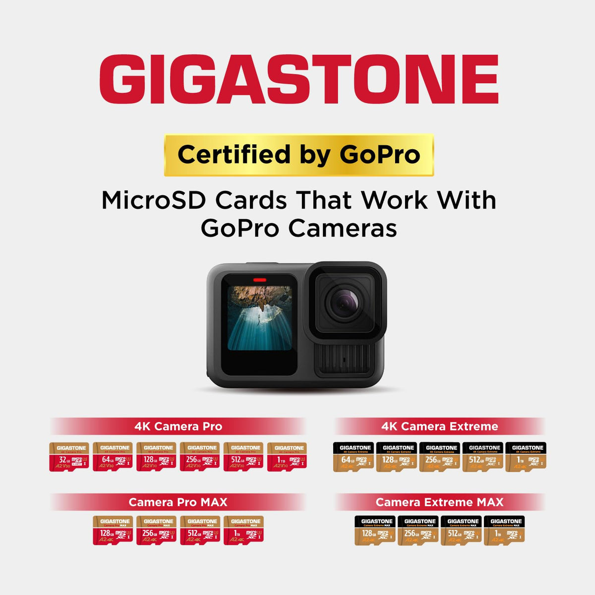 [5 Años Gratuitos de Recuperación de Datos] Gigastone 256GB Tarjeta Micro SD, Grabación de 4K video para GoPro, Cámara de Acción, DJI, Drone, Nintendo-Switch, 100/60MB/s Lec/Esc, UHS-I U3 A2 V30 C10