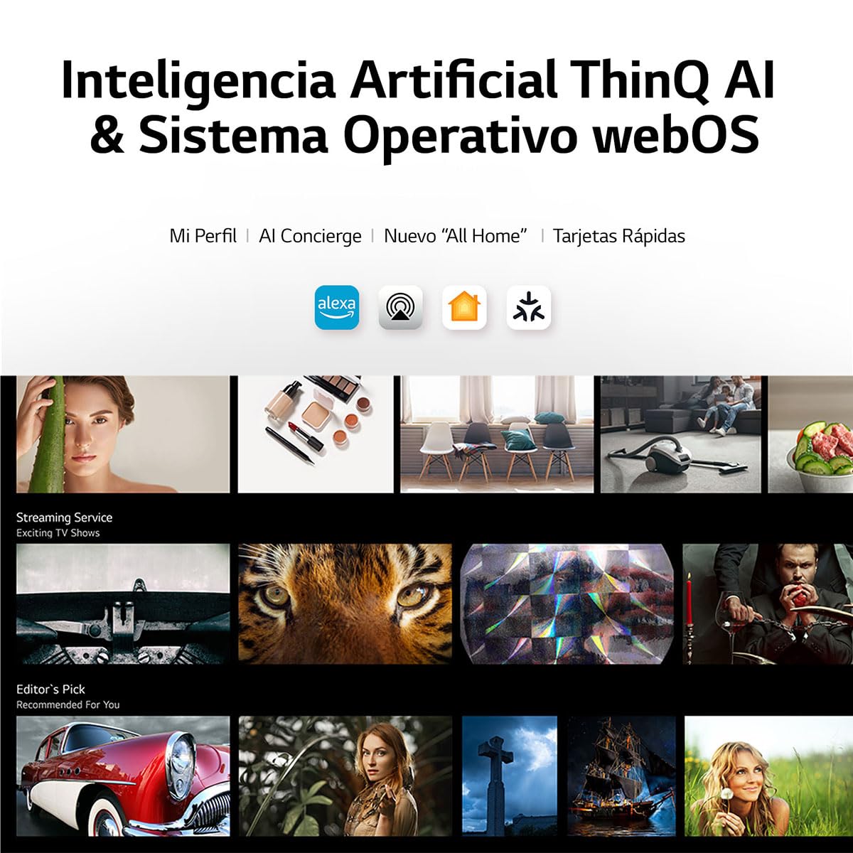 ACHEMEX