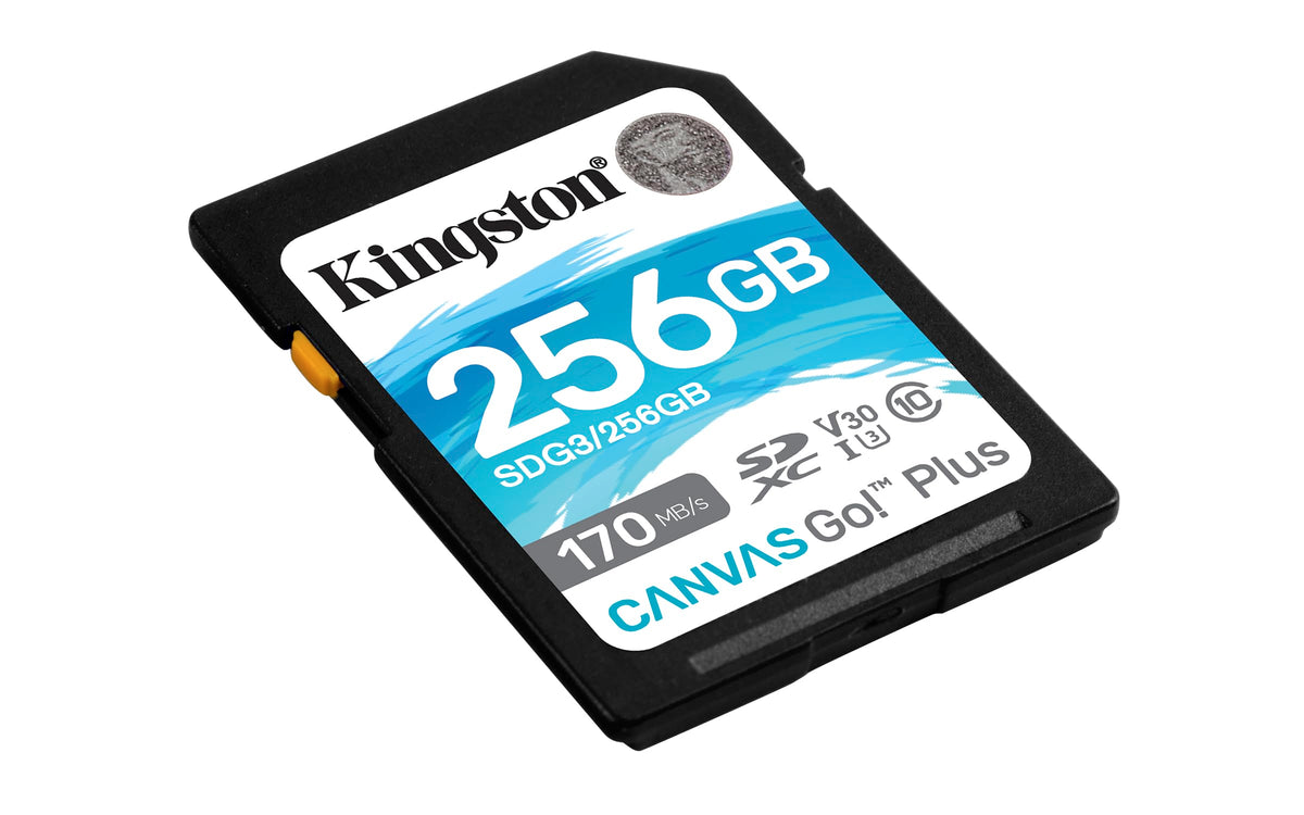 Kingston - Tarjeta de memoria SDXC Canvas Go Plus (256 GB, 170 MB/s)