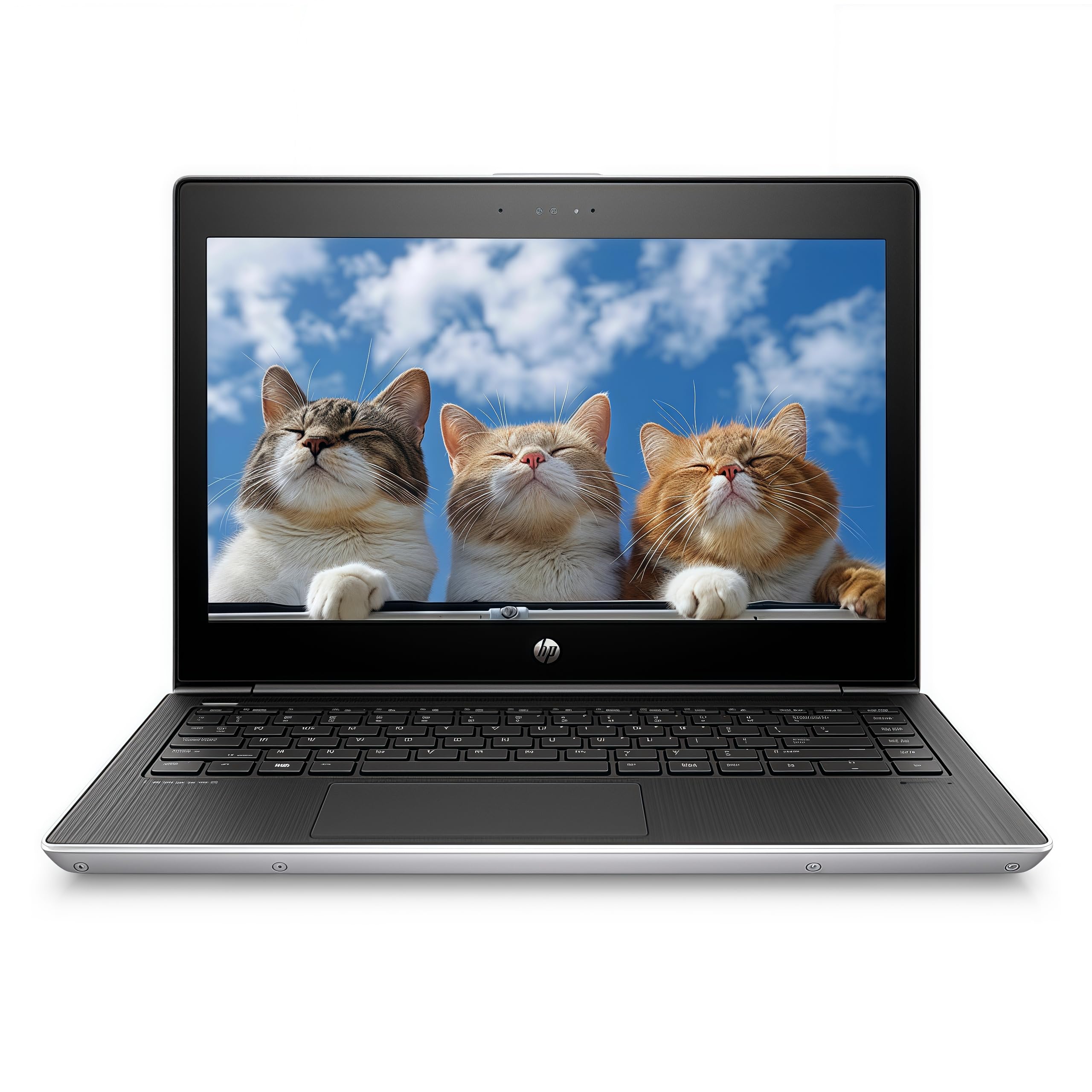 HP Computadora portátil ProBook MT31 Laptop, Cliente Ligero móvil, Intel Celeron-3867U, 8 GB de RAM, 128 GB de SSD, cámara Web, Tipo C, HDMI, Windows 10 Pro (renovado)