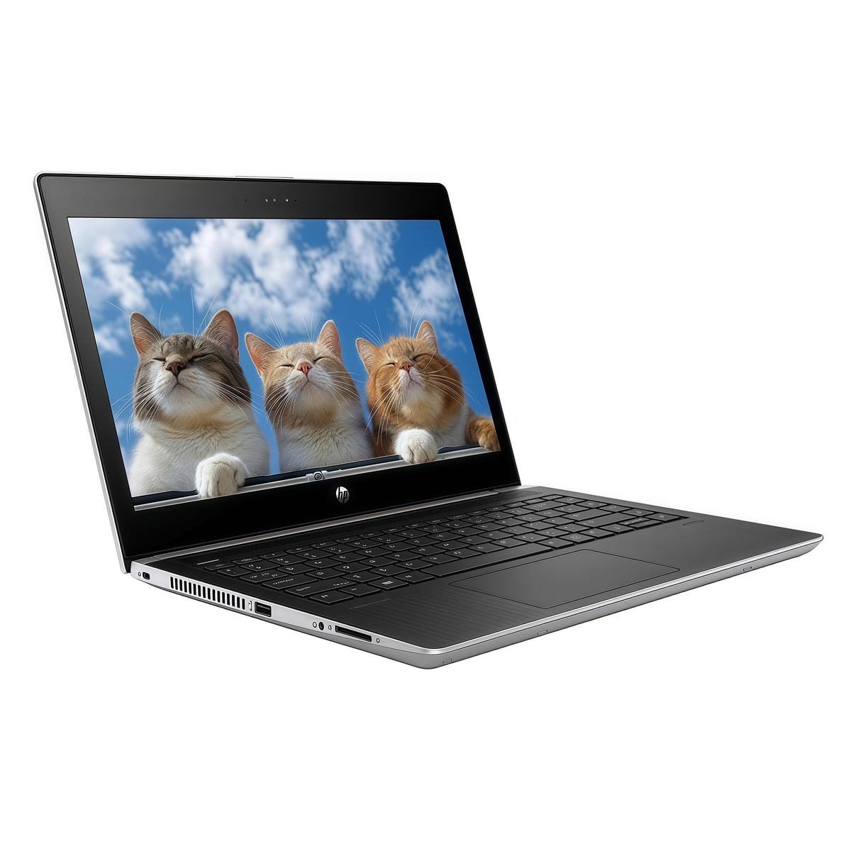 HP Computadora portátil ProBook MT31 Laptop, Cliente Ligero móvil, Intel Celeron-3867U, 8 GB de RAM, 128 GB de SSD, cámara Web, Tipo C, HDMI, Windows 10 Pro (renovado)