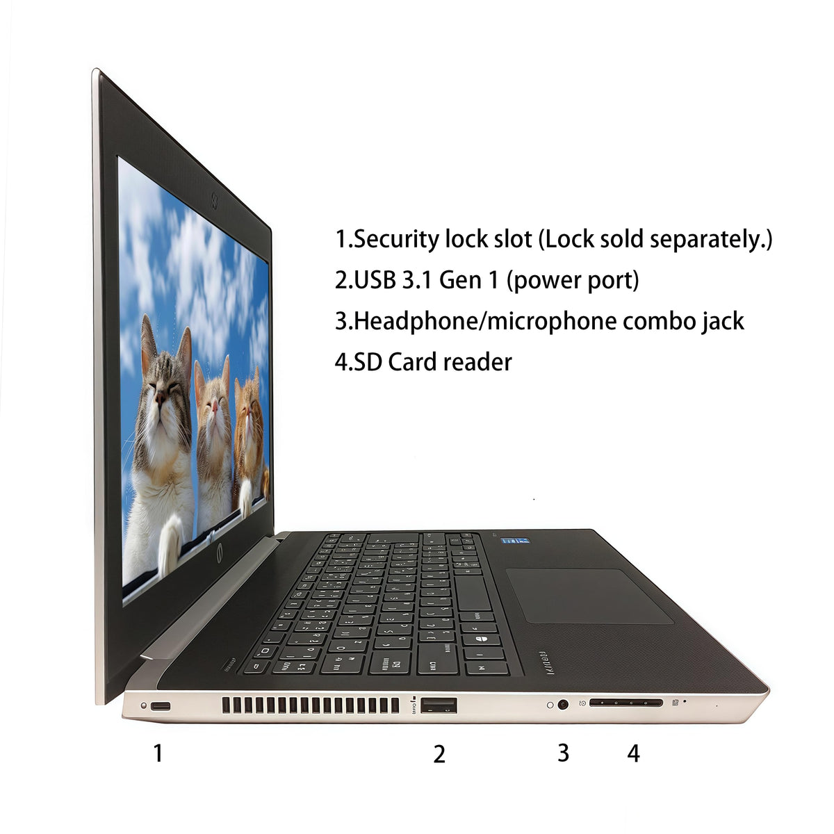 HP Computadora portátil ProBook MT31 Laptop, Cliente Ligero móvil, Intel Celeron-3867U, 8 GB de RAM, 128 GB de SSD, cámara Web, Tipo C, HDMI, Windows 10 Pro (renovado)