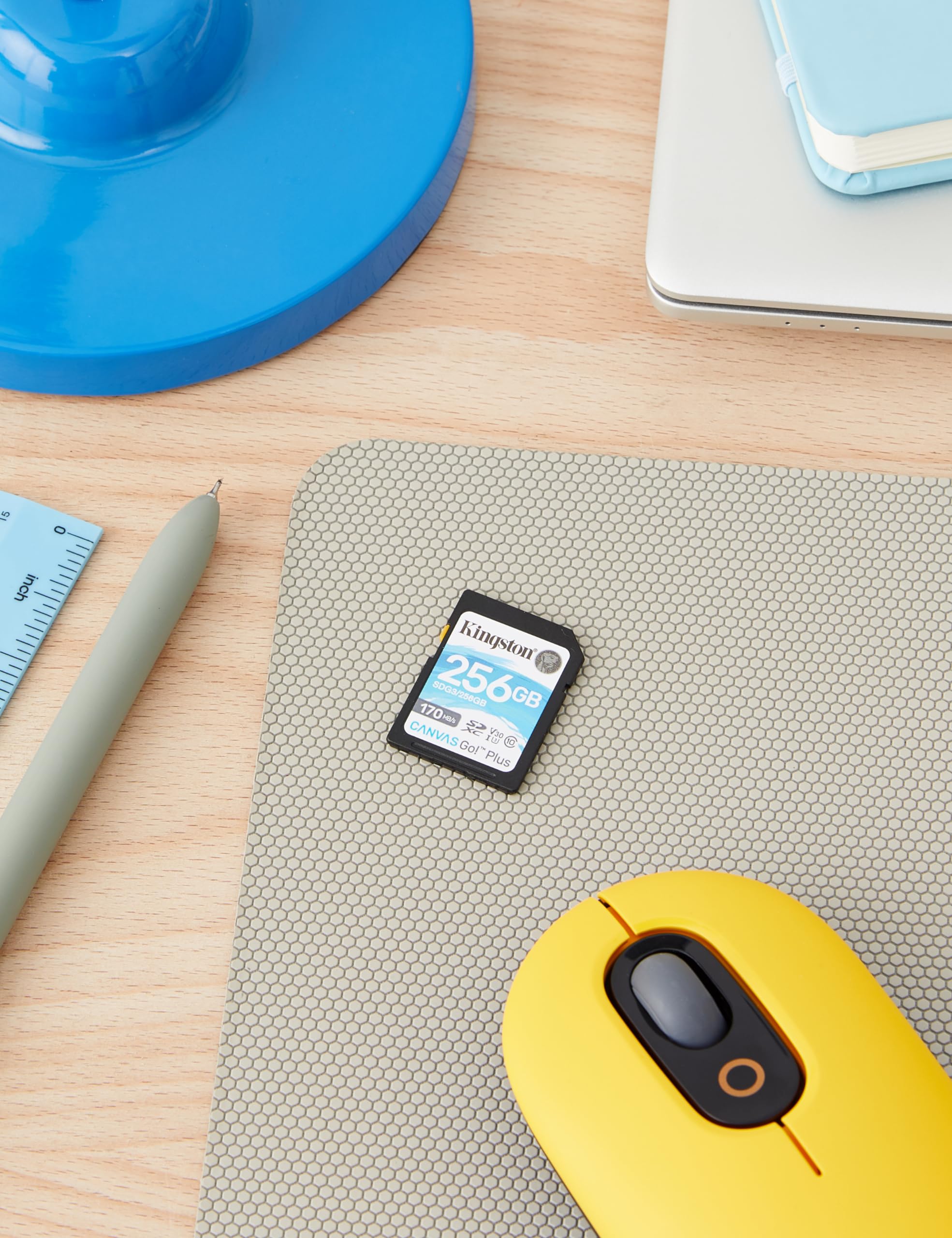 Kingston - Tarjeta de memoria SDXC Canvas Go Plus (256 GB, 170 MB/s)