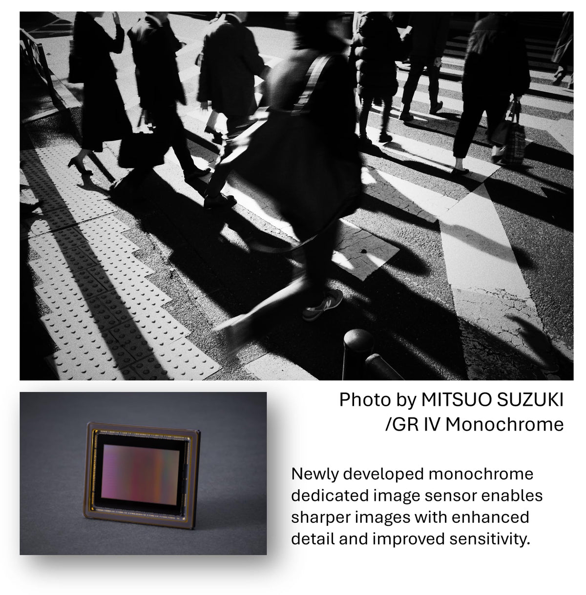 RICOH GR IV Monocromo