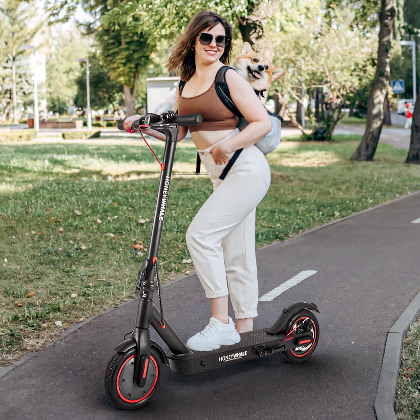 HONEYWHALE M2 Pro Scooter Eléctrico Adulto 500W-32KM/H-22KM Patin Electrico