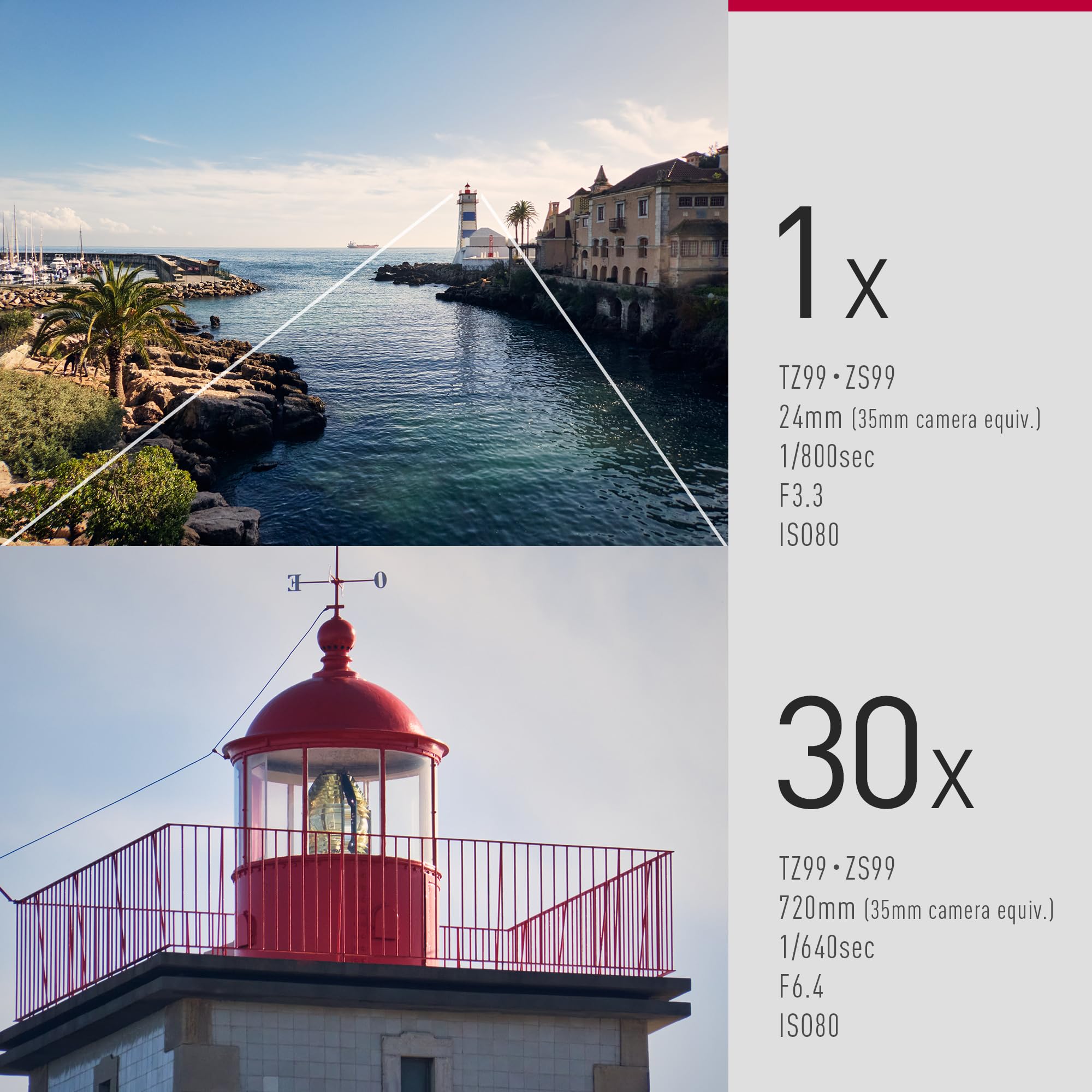 Panasonic LUMIX DC-TZ99E-S Cámara compacta de Viaje, Lente Leica DC, Zoom de 30x, 24-720 mm, 20,3 MP, OIS, vídeo 4K 30p, Monitor Plegable de 7,6 cm, WiFi, Bluetooth, Plata